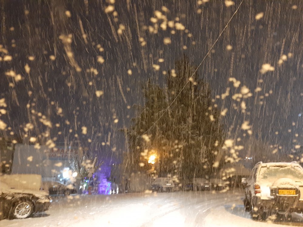 Σφοδρή χιονόπτωση έπληξε το Βελεστίνο
