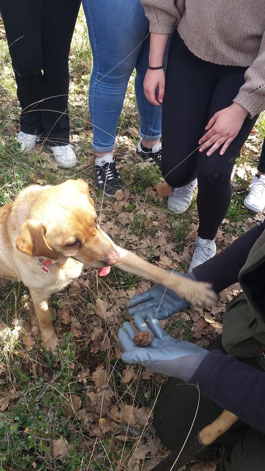 Ψάχνοντας τρούφες στα Μετέωρα