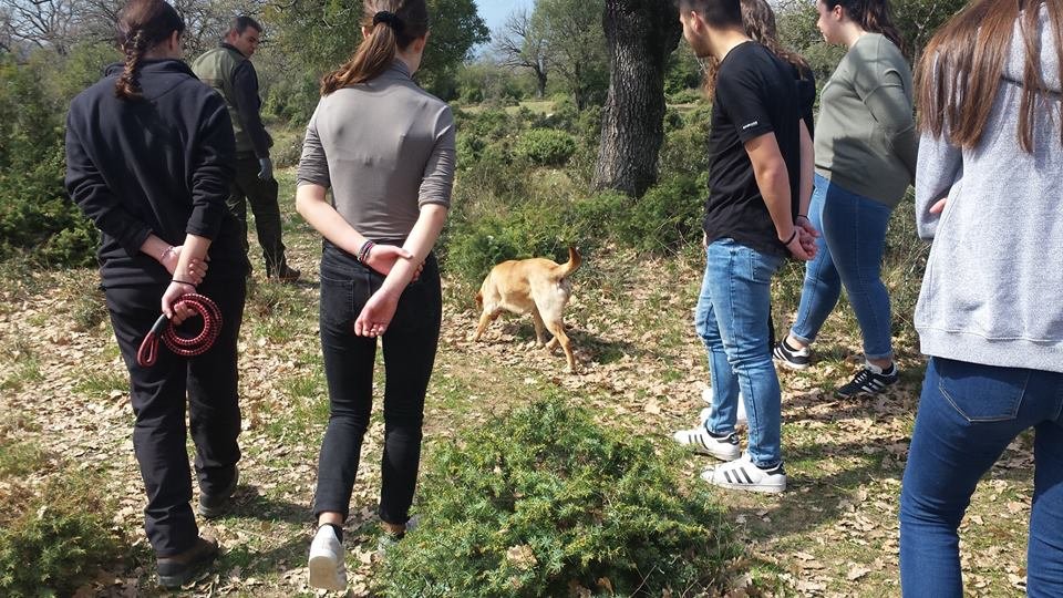 Ψάχνοντας τρούφες στα Μετέωρα