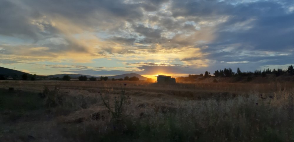 "Η διαδικασία από το χωράφι στο ράφι"