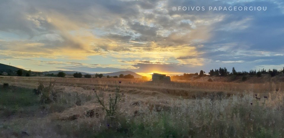 Δημοπρασία για εκμίσθωση αγρού του Δήμου