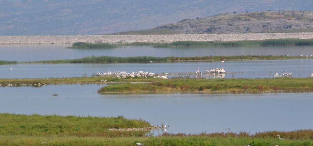 Νέα έργα στη λίμνη Κάρλα