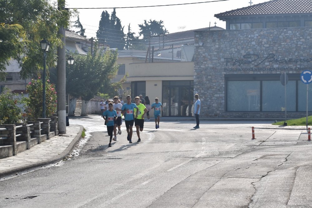 Αναλυτικά αποτελέσματα στον Ρήγειο Δρόμο