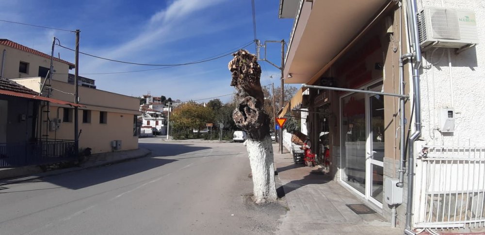 Κρεοπωλείο Νικολάου Αγγελή 