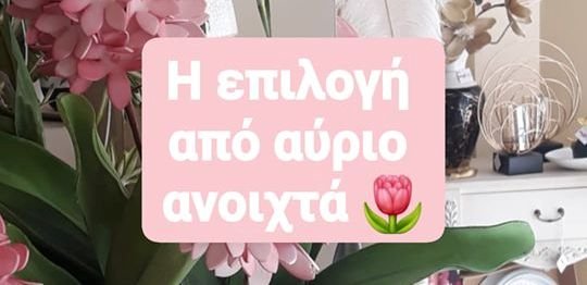 Η Επιλογή και πάλι ανοιχτά