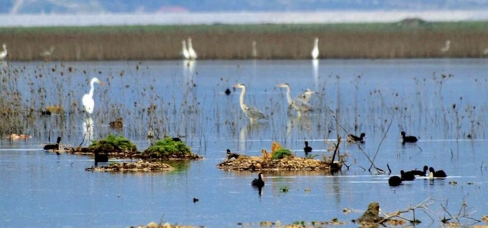 Μελέτη για την ασφαλή λειτουργία  του ταμιευτήρα της Κάρλας