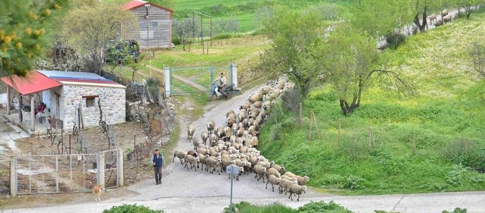 Ένα μεγάλο "Ευχαριστώ" στους αγρότες και κτηνοτρόφους της χώρας