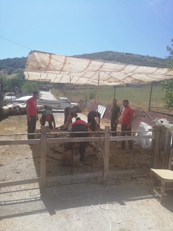Ο "κούρος" των κτηνοτρόφων