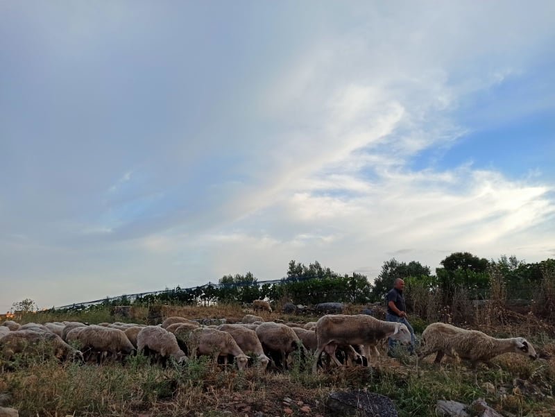 Ξενάγηση στο χωροχρόνο