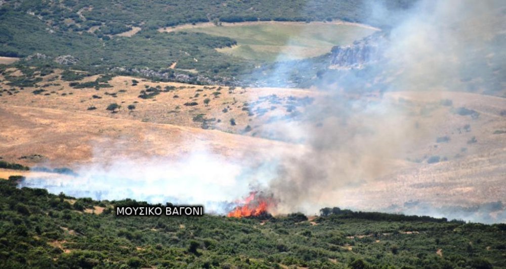 Κάηκε αγροτοδασική έκταση