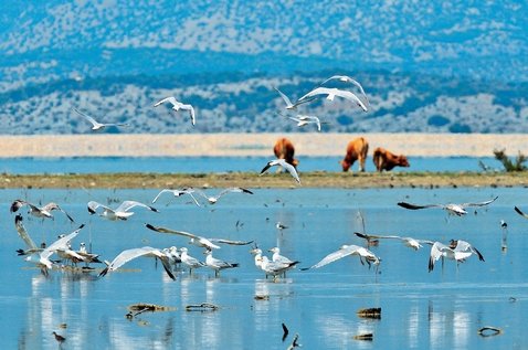 Πασάροντας στο μέλλον: 1o βραβείο στο Δημοτικό Σχολείο Καναλίων