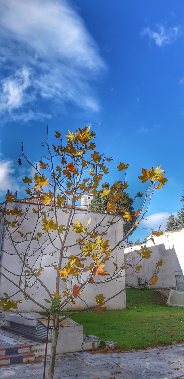 Μετά τη βροχή