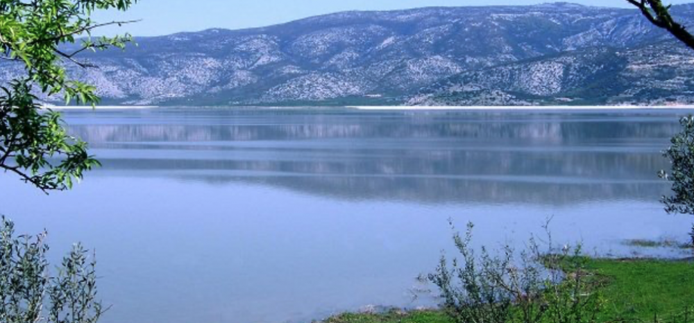 Στο Περιφερειακό Συμβούλιο η υψηλή αλατότητα στα νερά της Κάρλας