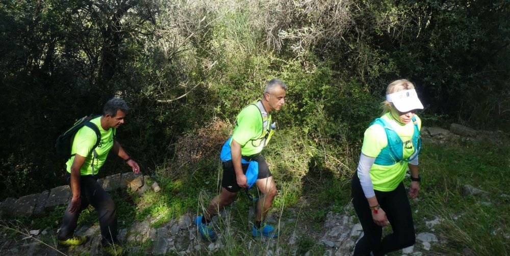 Πεζοπορία στο Τισαίο Όρος