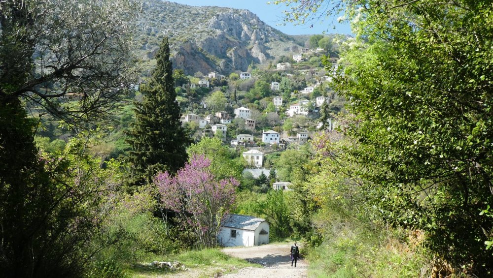 Απογευματινή πεζοπορία Άγιος Ονούφριος - Σταγιάτες την Κυριακή