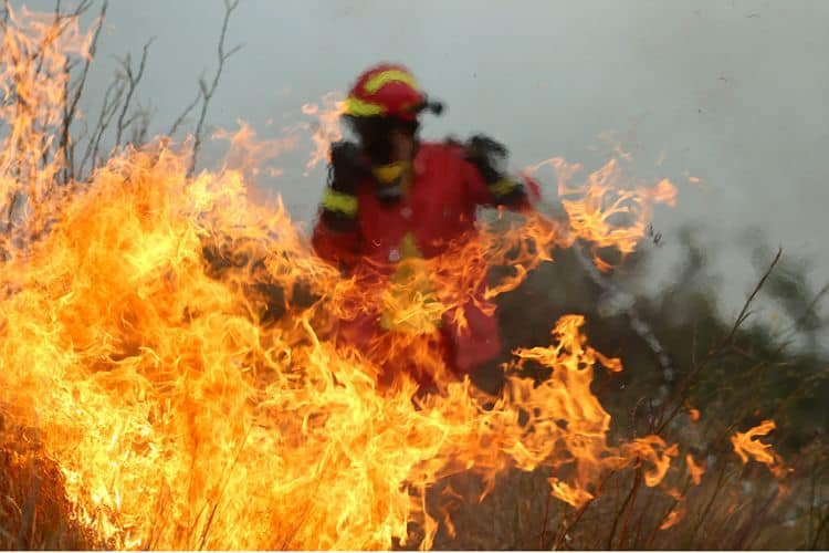 Φωτιά σε αποθήκη με γεωργικά προϊόντα 