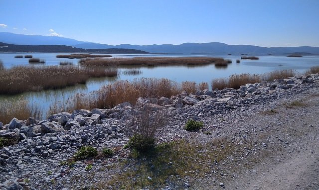 Μάζευε βρώμη στην Κάρλα και συνελήφθη