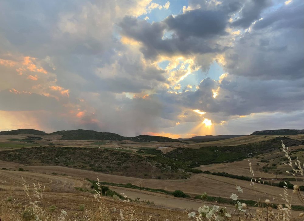 Μεγάλη πυρκαγιά βρέθηκε κοντά στα όρια του Δήμου 