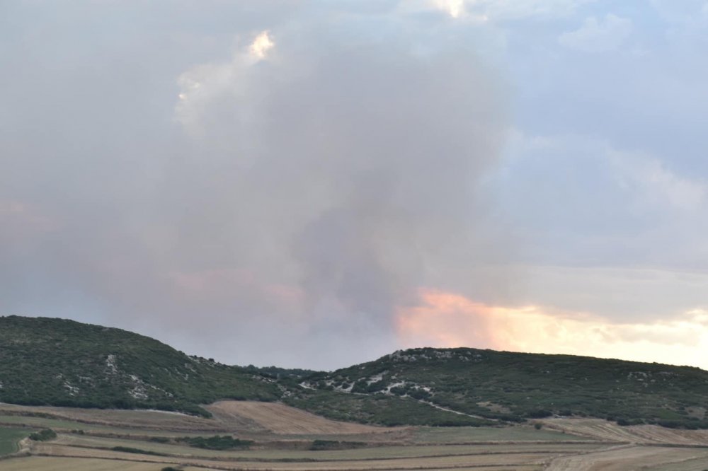 Μεγάλη πυρκαγιά βρέθηκε κοντά στα όρια του Δήμου 