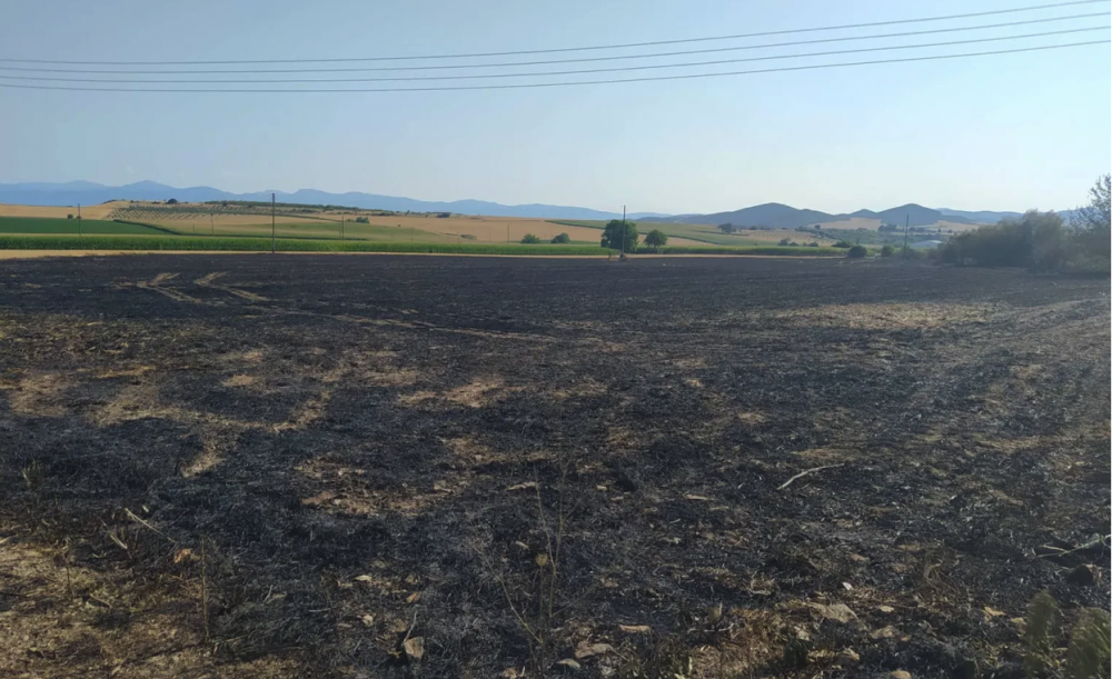 Φωτιά στο Αερινό έκαψε έκταση 2,5 στρεμμάτων