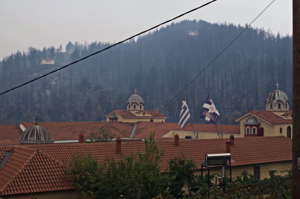 Εθελοντές για καθαρισμό στην Ιερά Μονή Οσίου Δαυίδ