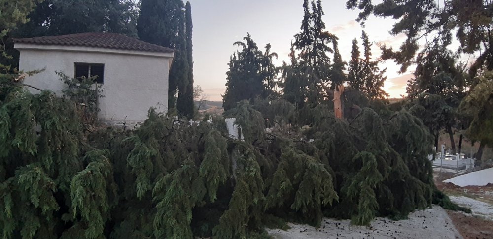 Πτώσεις δέντρων στο Βελεστίνο