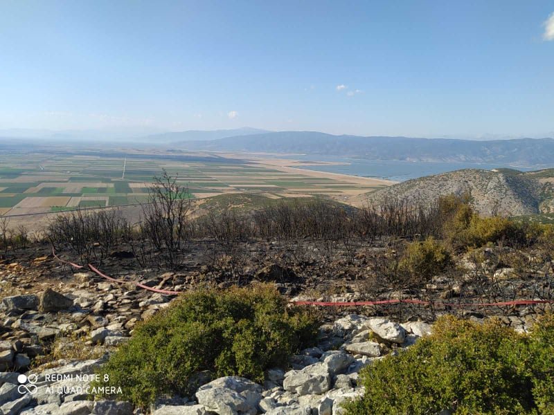 Πυρκαγιά πάνω από το Σκοπευτήριο Ριζομύλου κατέσβησε η Πυροσβεστική