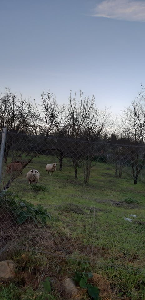 Χρώματα του Χειμώνα