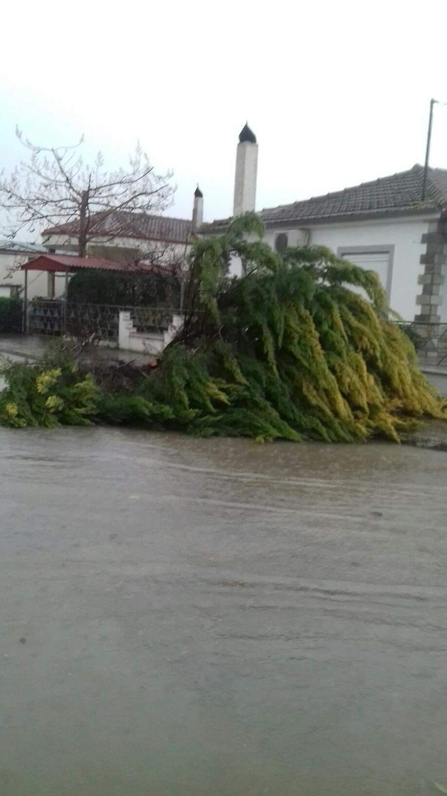 Επί ποδός και τα συνεργεία του Δήμου για τις ζημιές του "Διομήδη"