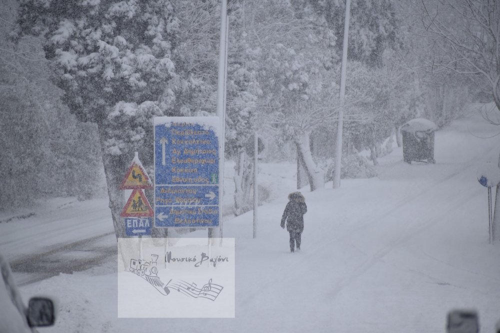 Κατάλευκο Βελεστίνο