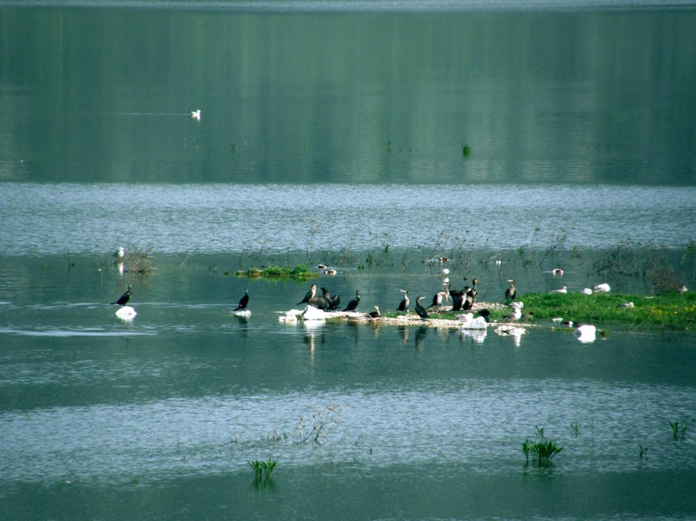 Καταργήθηκε ο Φορέας Διαχείρισης της λίμνης Κάρλας - Μετατρέπεται σε Μονάδα Διαχείρισης