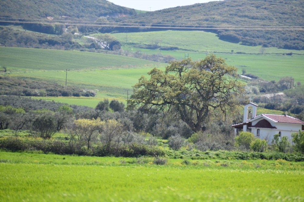 Μαγική φύση δίπλα μας