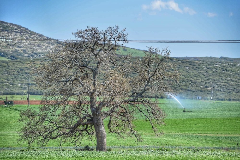 Μαγική φύση δίπλα μας