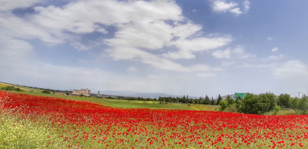 Το Μουσικό Βαγόνι σας εύχεται Καλή Ανάσταση 