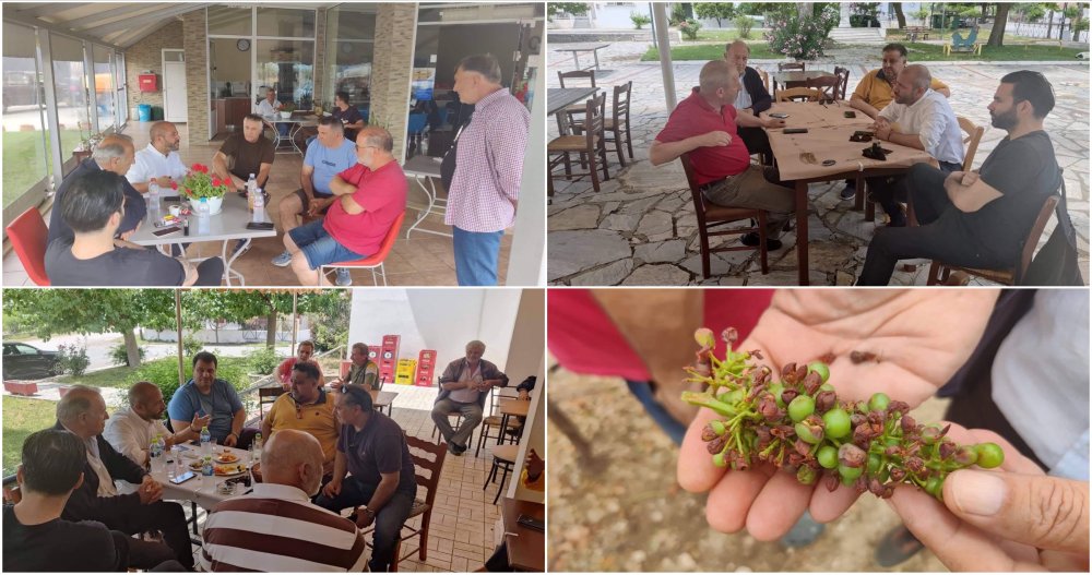 Σε Περίβλεπτο, Αϊδίνι και Μικροθήβες ο Αλ. Μεϊκόπουλος για τις πρόσφατες καταστροφές   