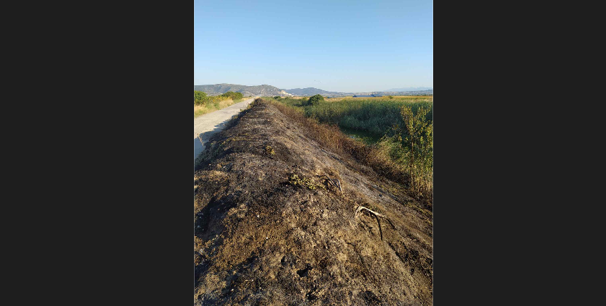 Φωτιά στον Χάνδακα Στεφανοβικείου