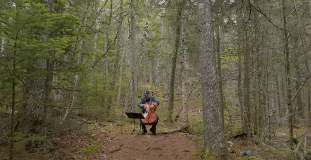 Κορυφαίος μουσικός παίζει τσέλο στο δάσος και τραγουδούν τα πουλιά