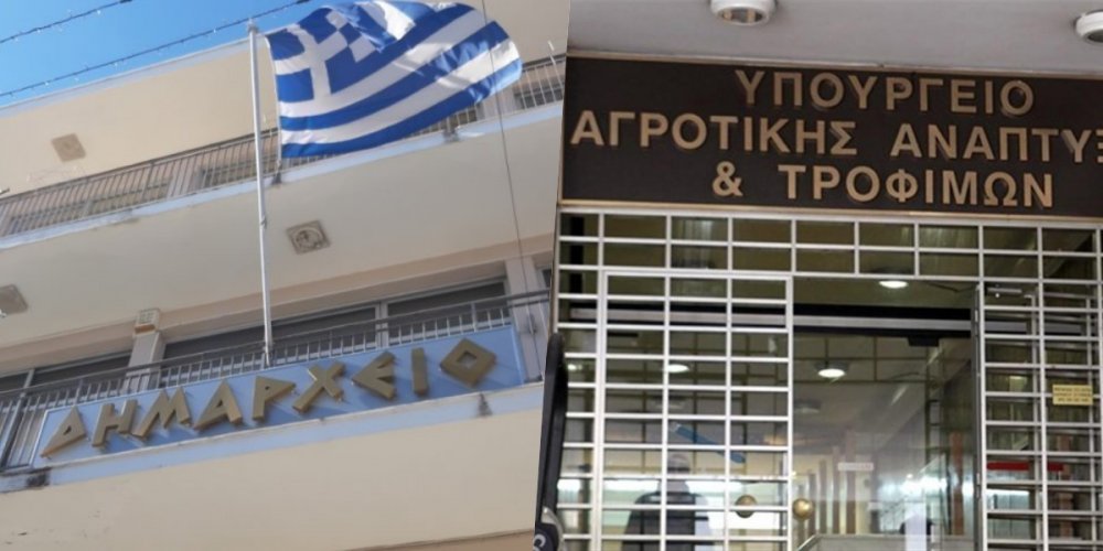 Επιστολή στον Υπουργό για την στήριξη των παραγωγών οπωροκηπευτικών του Δήμου