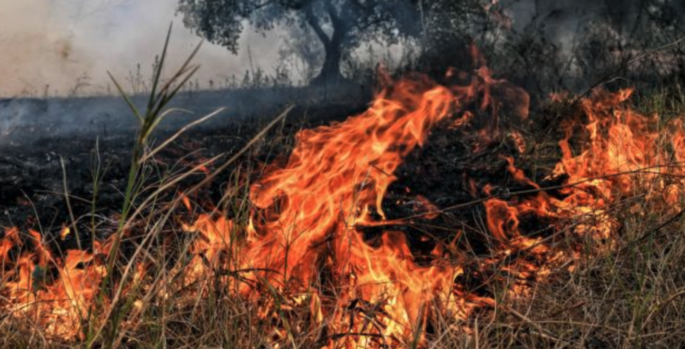 Φωτιά σε αγροτικές εκτάσεις το Σάββατο στον Άγιο Δημήτριο