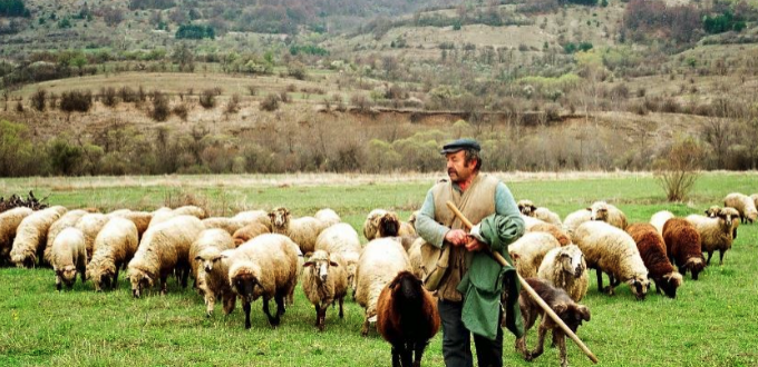 Ενισχύσεις έως 15.000 ευρώ για κτηνοτρόφους και επιχειρήσεις: Ποιους αφορά