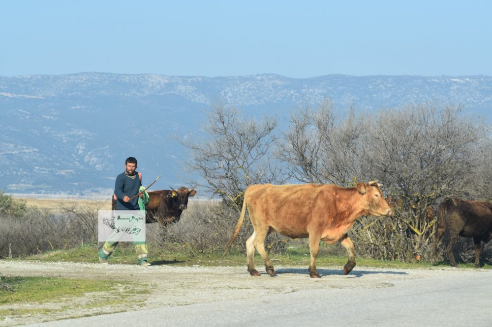 Βόλτα στην Κάρλα