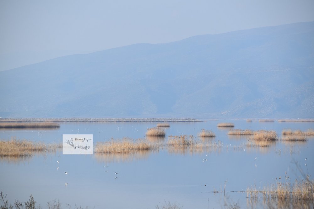 Βόλτα στην Κάρλα