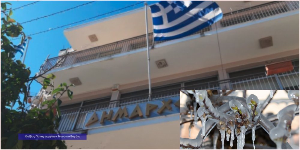 Ξεκίνησε η υποβολή δηλώσεων για ζημιά από παγετό στην Κοινότητα Καναλίων