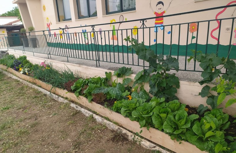 Παιδαγωγική Αξιοποίηση της Αυλής του Σχολείου στο Δημοτικό Σχολείο - Νηπιαγωγείο Αερινού