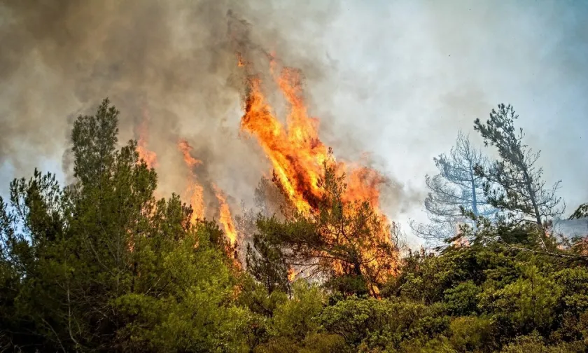 Πυρκαγιά σε ξερά χόρτα στο Μεγάλο Μοναστήρι