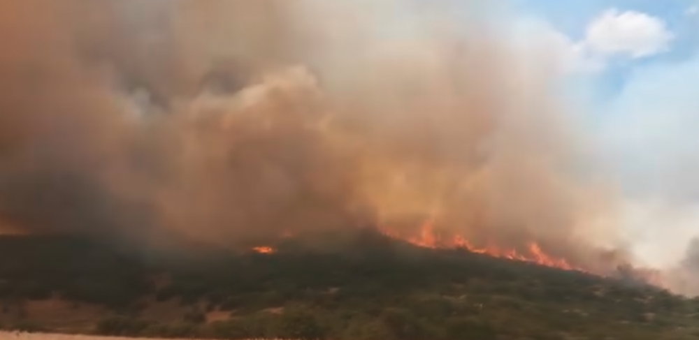 Μέχρι 25 Αυγούστου η υποβολή δηλώσεων ζημιάς στον ΕΛΓΑ