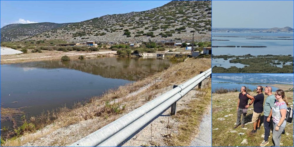 Στην καταστροφή αυτή, δυστυχώς, ορισμένοι προσπαθούν να στήσουν ήδη ολιγοπώλια και να αισχροκερδήσουν πάνω στη νέα αυτή κρίση