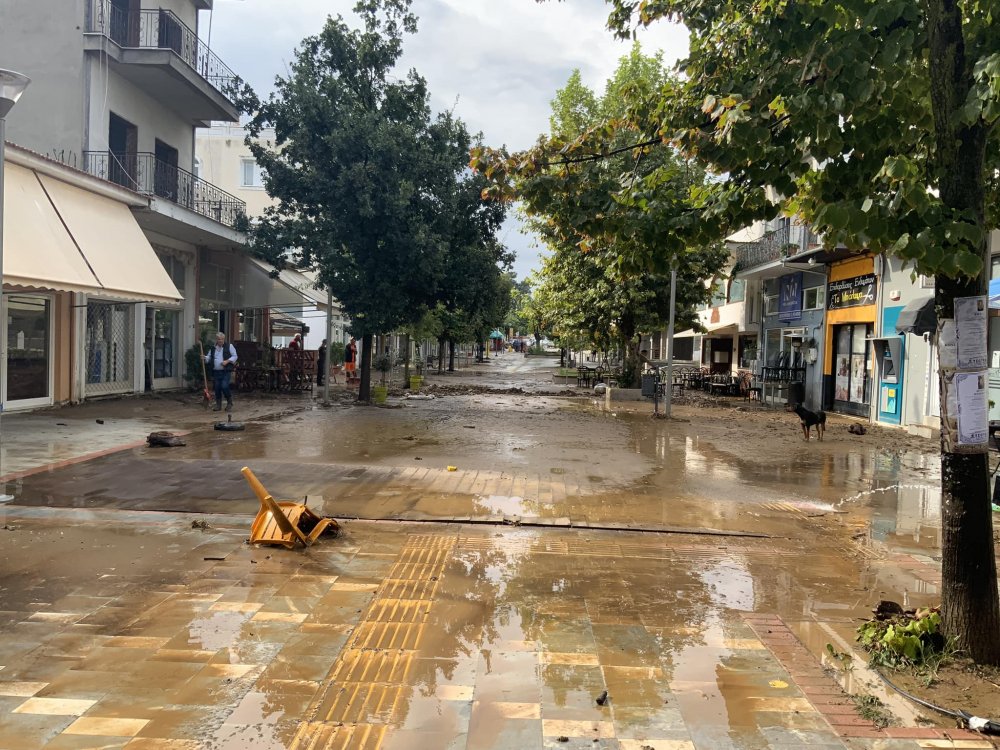 Ζημιές σε επαγγελματίες και κτηνοτρόφους