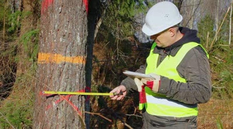 Θέσεις για τρεις ειδικότητες στην Διεύθυνση Αναδασώσεων Μαγνησίας