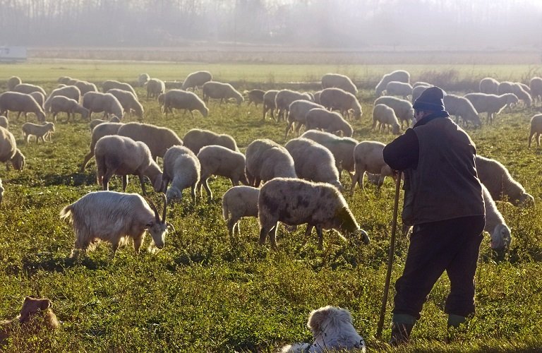 Θεσσαλία: Προβληματική η πληρωμή της βασικής ενίσχυσης